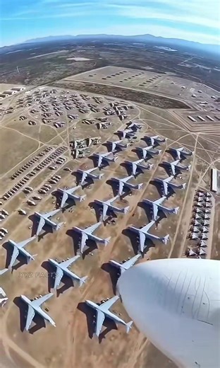 . . . . #facts #shorts #didyouknow #youtubeshorts #amazingfacts #viralshorts #interestingfacts | Fact Checkz | Facebook