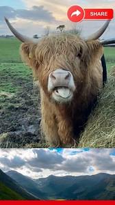 3.3K views · 11 reactions | **✨ Discover Scotland: A Land of Magic,...