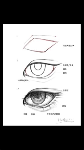 Drawing tutorial for eyes,eyebrows, and different lip angles and ears #drawingtutorial #draw #lips
