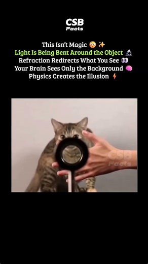This “Magic” Is Actually Physics 🤯✨