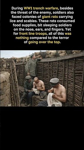 Life and Death in the Trenches of World War I. #ww1