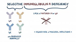 Video: Selective immunoglobulin A deficiency - Video Explanation! | Osmosis | Osmosis