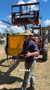 Tylen Wallace is here to show you why this essential gear is a must-have for the shed. The Supreme Cow Lifter is the tool you need to safely and quickly get an animal back on its feet. Watch the video to see this reliable lifter in action. Be prepared for any emergency.  Shop the Cow Lifter here: https://australag.au/products/supreme-cow-lifter-standard #AustralAg #LivestockCare #CattleSafety #FarmGear #RuralSolutions #WeAreFarmers #CowLifter #Cattle | Austral Ag | Facebook