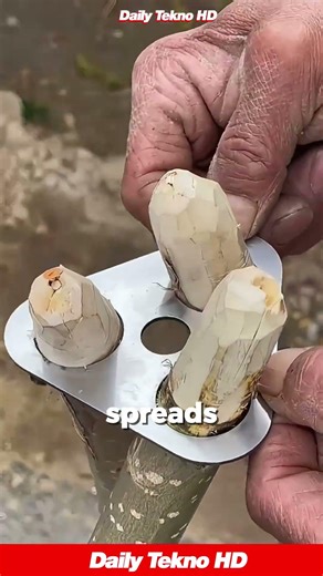 A simple survival stove you can build anywhere