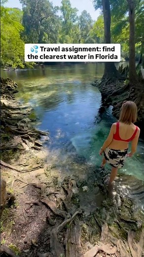 Kayaking Florida Springs: Gilchrist Blue Springs State Park Travel Guide