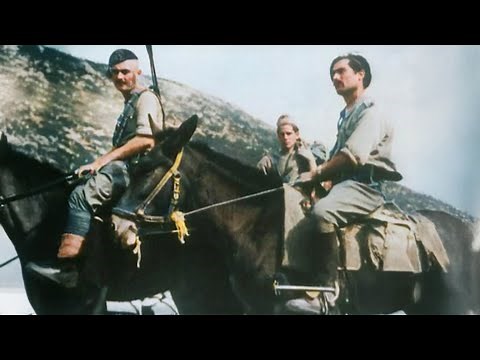 Spies, Sabotage, and Espionage: The 'Secret Armies' Of WW2