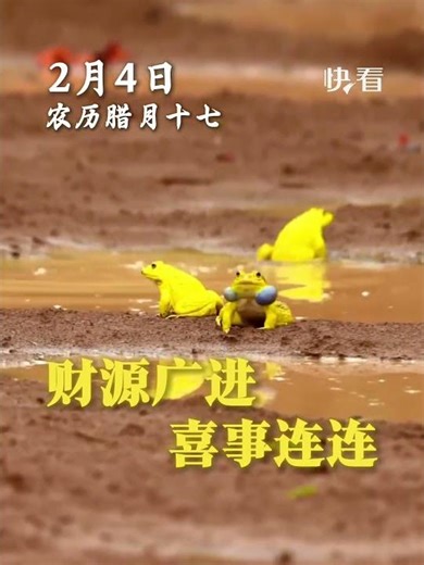 遇見金蟾，諸事順意！2月4日，農歷臘月十七，祝您財源廣進，喜事連連！