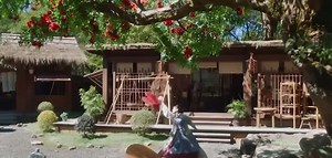 Top Trending Movies on TikTok You Should Watch