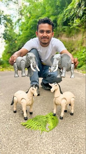 Remote Control 4 Ta Horse And Elphant Unboxing 😱#animal