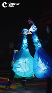 22K views | Stay late at Lanterns & Light ✨ Book one of our later...