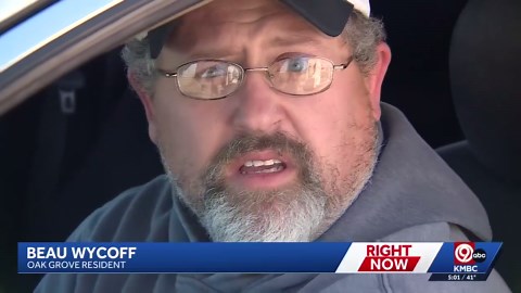 Interstate back open, several cattle still on the loose after crash in Oak Grove