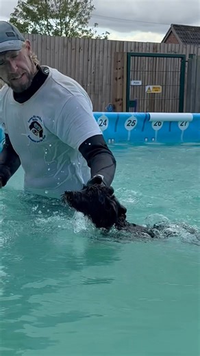 Jackapoo Teddy had never swam before and was nervous so Terry showed him he was safe and swimming is ok 🐾💕💦🇬🇧 | Canine Dip and Dive Maldon