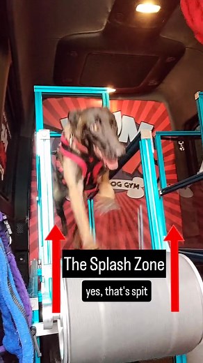 12K views · 321 reactions | The Splash Zone The area directly in front of the mill where dog spit (and everything else that comes out of dogs) flies up into your face. #rundawg #mobiledoggym #dogexercise | Run Dawg | Facebook