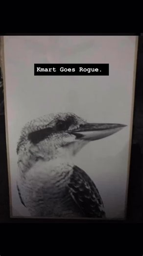 You may have heard of pop goes punk…. But have you heard of Arty Farty With Kmarty? IYKYK this famous kookaburra print from Kmart was a fun little project to turn punk this afternoon to keep my hands busy busy. What do you think? @reality_creation_with_sair @kmartaus #artyfarty #kmartaus #kmarthacks | Sair Zee