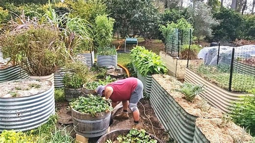How our Envirocycle septic system turns wastewater into garden gold | Self Sufficient Me