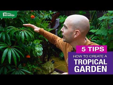 How to create a tropical garden | 5 TIPS to transform your garden