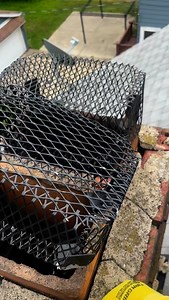 D&R Animal Trapping and Exterminating (440)781-4406 #ExterminatorD #Exterminator #WildLife #animaltrapping #PestControl #wild_life_explore #TrashbinCleaning #Ohio #IGetThemEveryTime #mybaby | Daquan Rustin