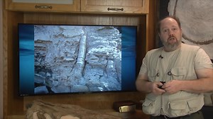 3.8K views · 118 reactions | Complete Creation #4 - Polystrate Fossils | Let My People Know | Facebook