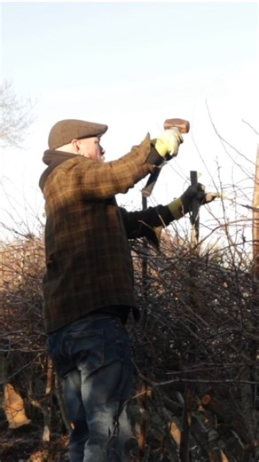 Come with me and learn the ancient art of hedge laying with Paul Lamb @westcountry_hedgelayer . #hedgelaying #hedgerow #countryside #countryliving #wildlife | Camp Out West