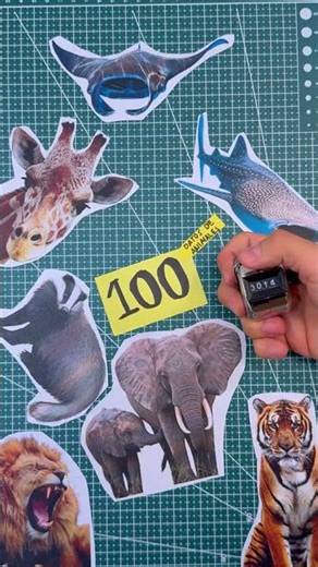 Did you know the COLUGOS?