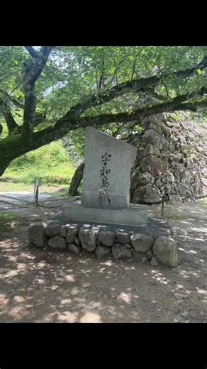 Exploring Uwa Castle: One of Japan's 100 Famous Castles