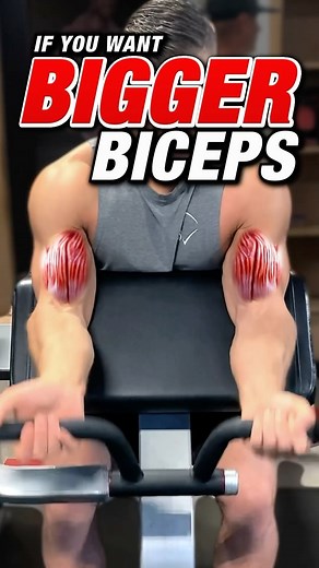 Workouts For Gym & Home on Instagram: "The bicep has two heads (hence the prefix “bi”). The two heads are the long head and the short head. However, there is an additional muscle, the brachialis, which technically is not part of the bicep but contributes to the overall development of your biceps. The short head is the inner part of the bicep. Preacher curls are one of the best exercises to hit it. The long head is the outside of the bicep and can be targeted effectively with incline dumbbell cur