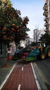 9.2M views · 46K reactions | داری پرتەقال سالانی فالنسیا  https://youtu.be/ioYl1JkMgas | Mina salih | Facebook