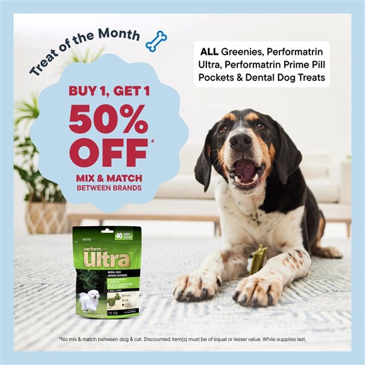 Buy 1 Get 1 50% Off on our Treat of the Month, ALL Greenies, Performatrin Ultra & Performatrin Prime Pill Pockets and Dental Treats! #petvalu #fyp #petlover #cat #dog