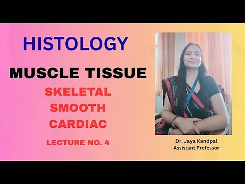 MUSCULAR TISSUE#SKELETAL#SMOOTH#CARDIAC#SARCOMERE#NEET#CSIR NET#B.Sc & M.Sc#KUMAUN UNIVERSITY