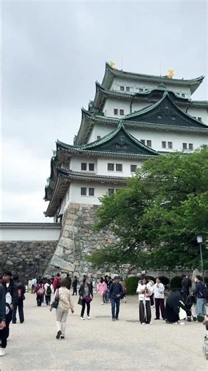 【NAGOYA】Must-See Tourist Attraction - Nagoya Castle