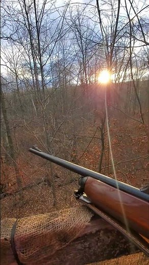 Remington 7400 WOODSMASTER