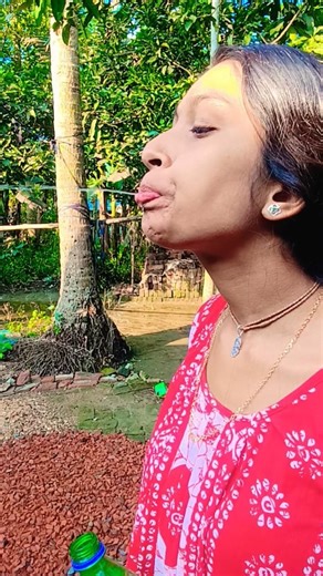 The human body transports water, greening the desert is funny special effects desert greening