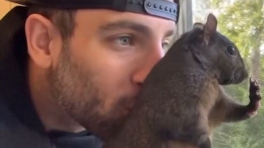 Inside the investigation, seizure and death of Peanut the social media star squirrel