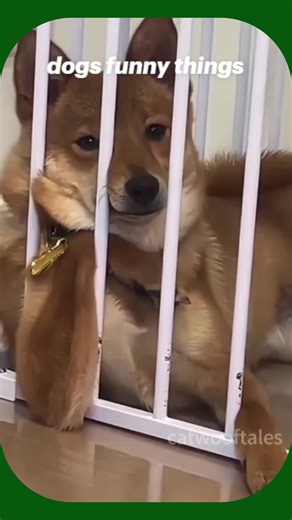 #GRAVIK is here. we try to bring accessibility to opportunities and safety, as they are basic needs. we would really appreciate you =r feedback.