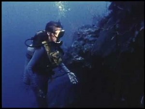 Woman Scuba Diving Coral Wall 1970