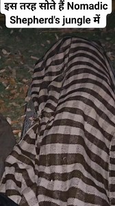 219K views · 5.5K reactions | Nomadic Shepherd's Life in jungle | Himachali Life | Facebook