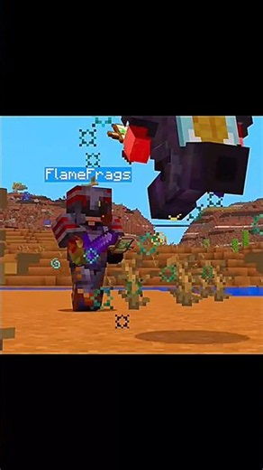 FlameFrags Sword PVP VS Mace PVP #minecraft