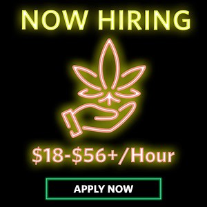 1.9K views · 106 reactions | NEW Dispensary Positions $18-56+/Hr Jobs Easy Application + Immediate Hire | SimplyJobs | Facebook