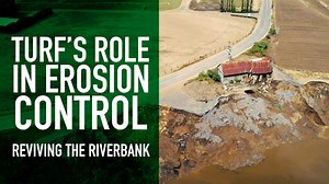 Nestled on the banks of the Hawkesbury River, just outside Windsor, New South Wales, is a newly completed turf project that demonstrates the power of natural erosion control using turf. A collaborative effort led by Green Life Turf has transformed a flood devastated riverbank into a resilient green embankment. | Lawn Solutions Australia