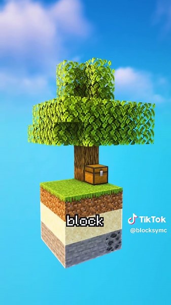 Le vrai skyblock n’est pas celui que vous pensez ! #minecraft #astuces #glitch #skyblock #bug