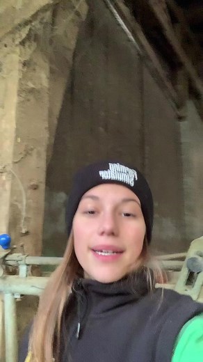 Exploring Barn Life: A Guide to Cow Care