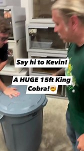 3.1M views · 46K reactions | This king cobra was no joke! #kingcobra #cobra #snake #reptiles #reptilesofinstagram #reels #tiktok | Brian Barczyk | Facebook