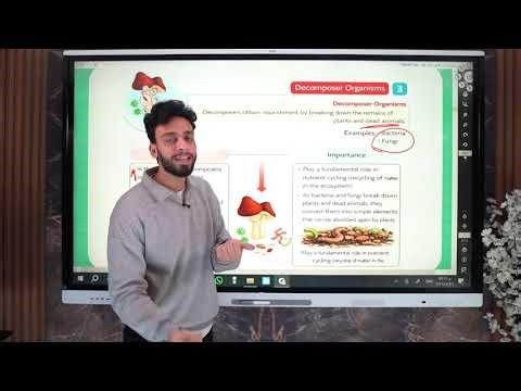march revision integrated science sec 1 second term | 2026 مراجعة ساينس ترم ثاني