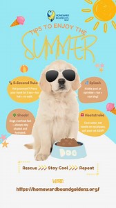 4.7K views · 83 reactions | ☀️Summer fun at HBGRR is in full swing!...