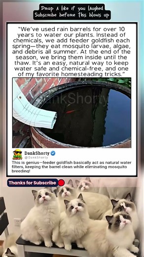 Infinite water glitch is crazy 💀🔥 #DankShorty #denzelwashington