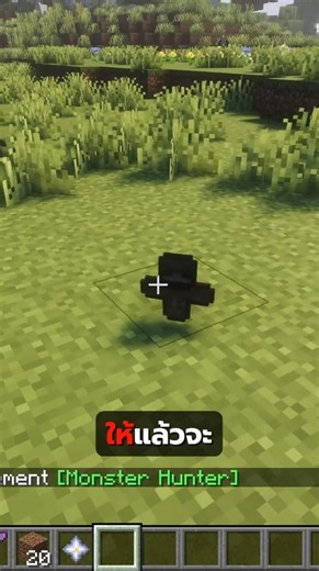 ผมเก็บ Wither แล้วมันดันทิ้งแท่งวิญญาณของมัน
