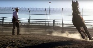Breaking Wild Horses in Prison - Prison Fellowship