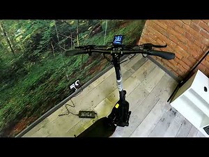 How to Reset Odometer on Motus 10 Pro