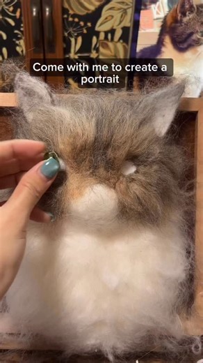 48K views · 3.9K reactions | Monty was adopted 12 years ago — born...