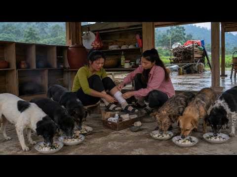 Village Life in Vietnam | Dog Rescue, Herbal Healing and Cooking